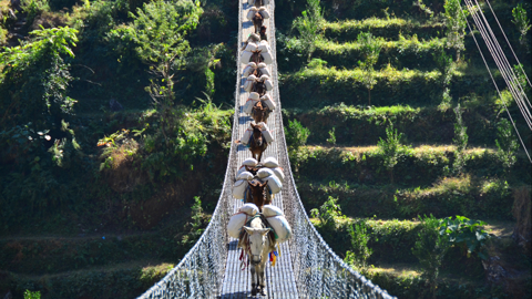 manaslu-trekking.jpg